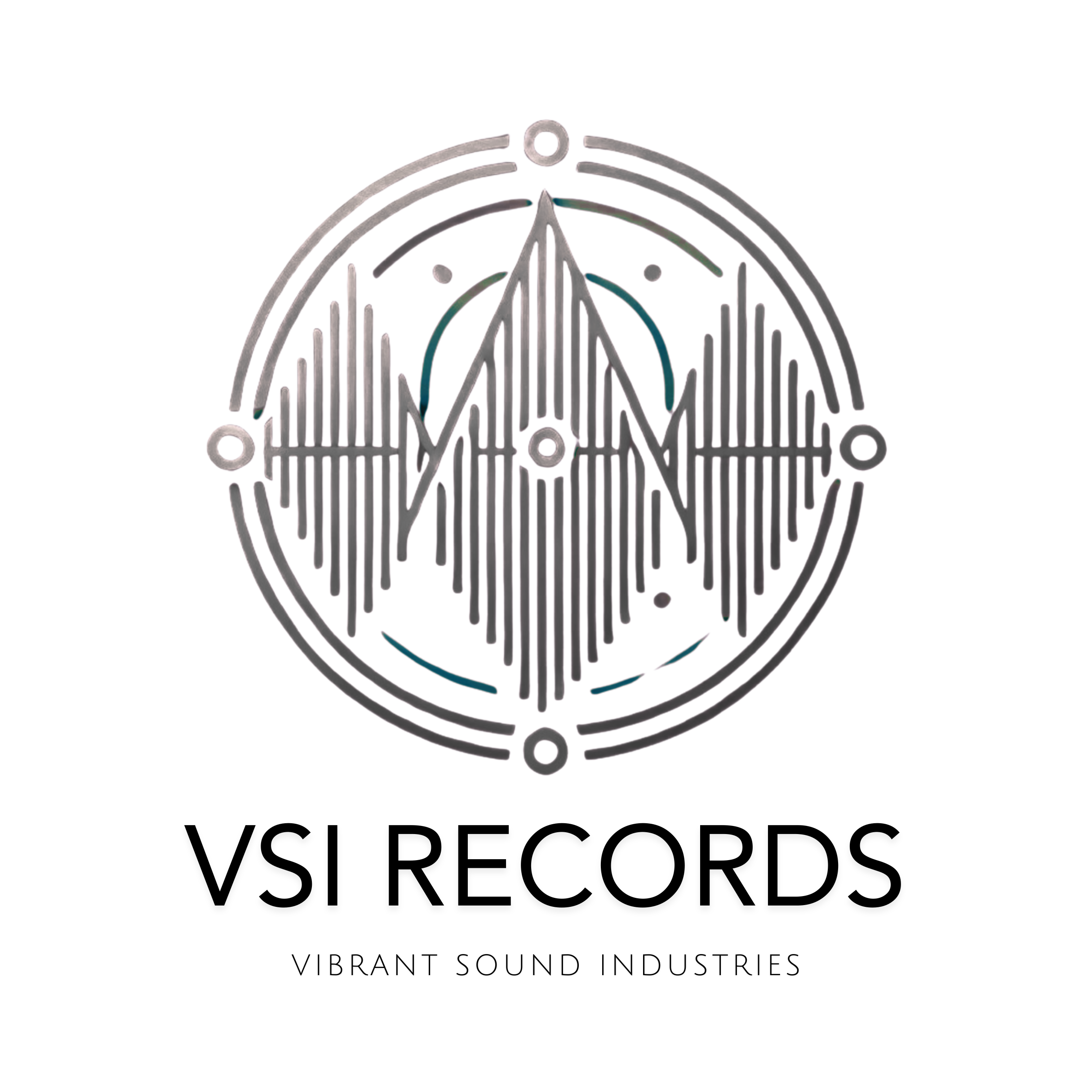 vsirecords.com